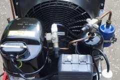 IMG-20220124-WA0013
